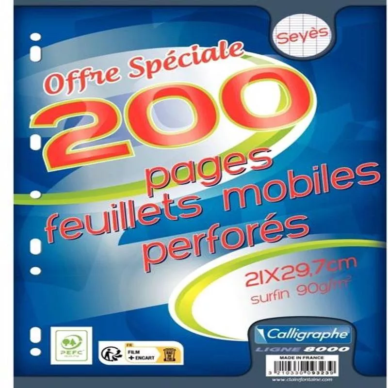100 punched sheets a4 90g (#126207)