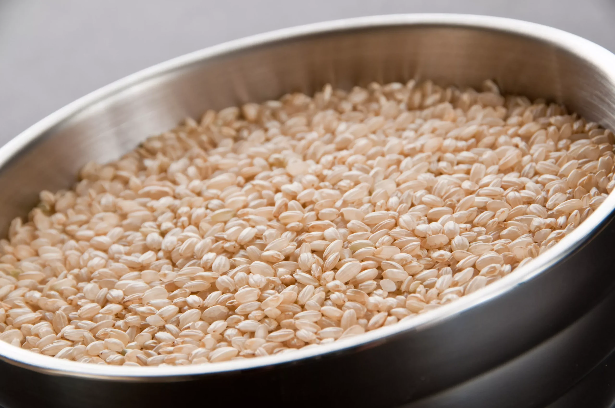 Inharvest Short Grain Brown Rice 25 Pound Each - 1 Per Case
