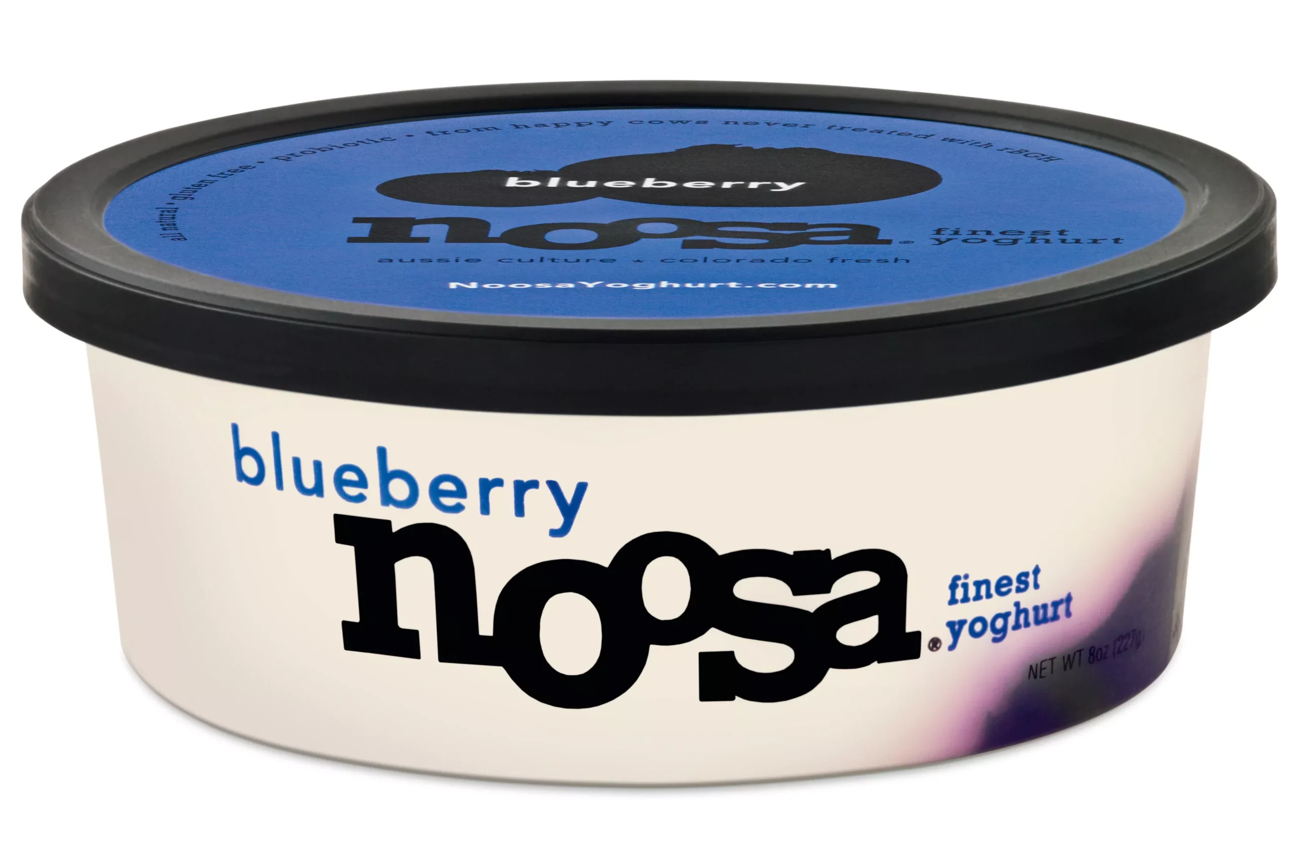 Noosa Yoghurt Blueberry 1 Each - 12 Per Case
