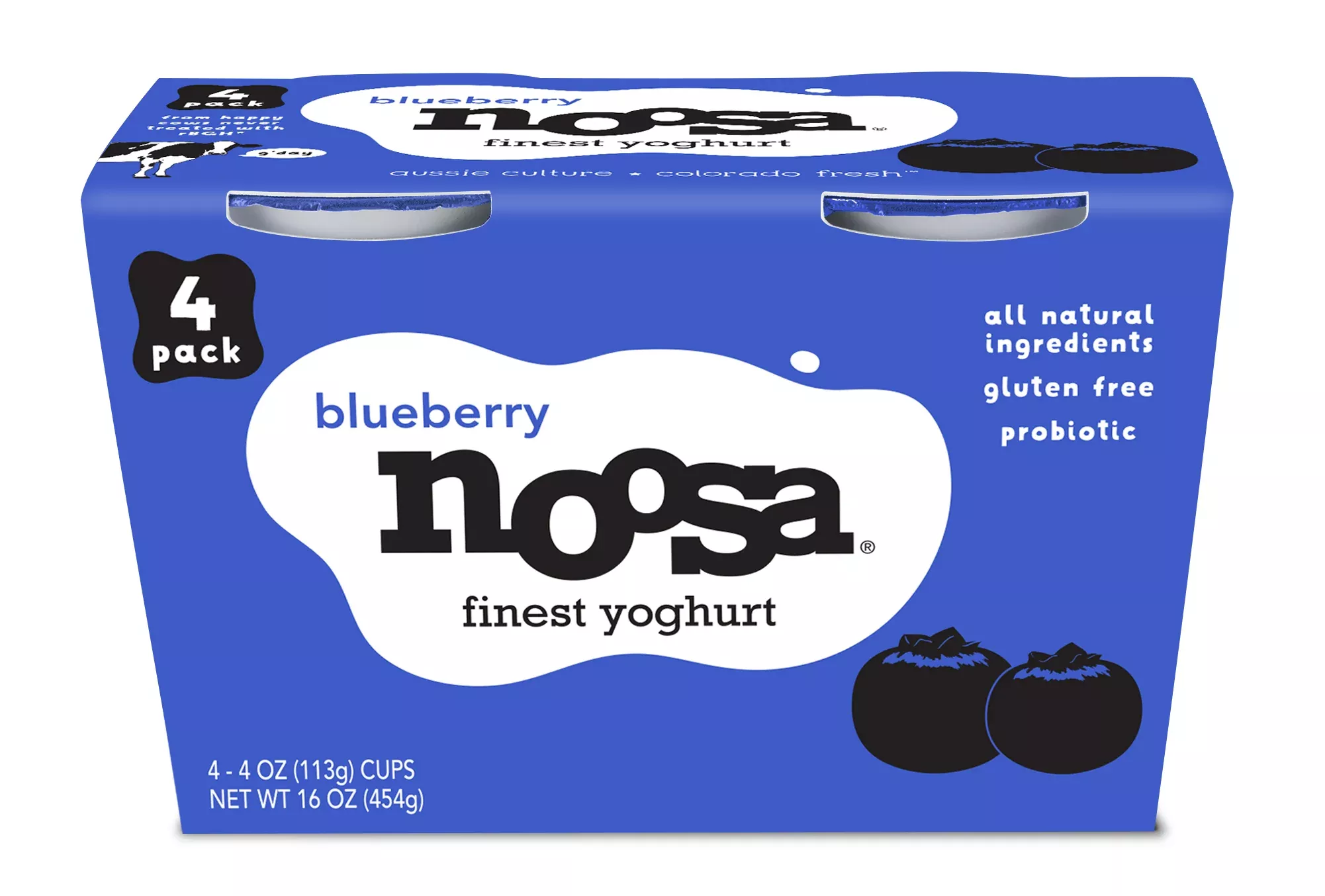 Noosa Yoghurt Blueberry Pack 1 Each - 6 Per Case
