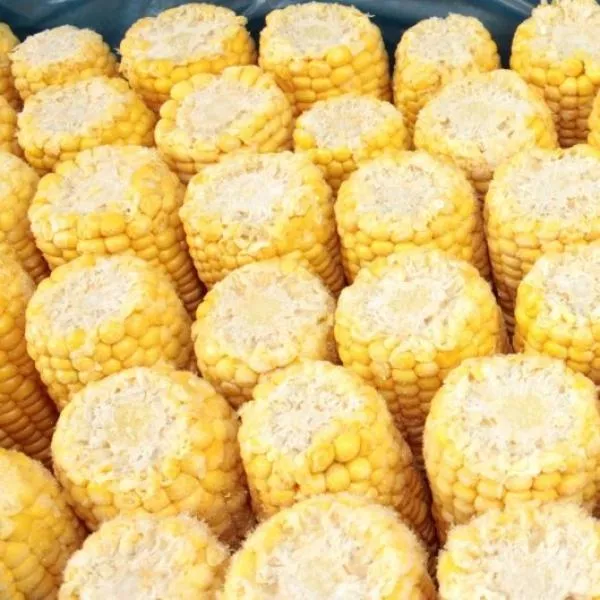 Vegetables - Frozen Commodity Corn Cob 5 Inch 48 Count Packs - 1 Per Case