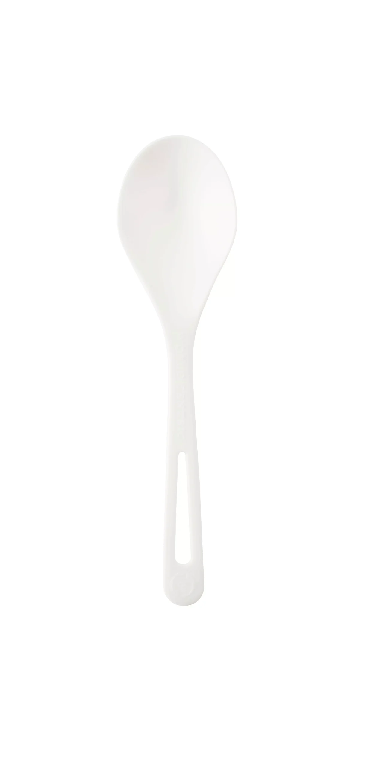 World Centric 6" Soup Spoons - Tpla - Compostable - 20 Per Case